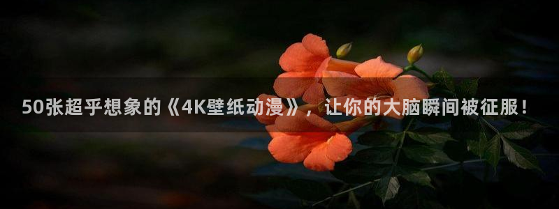 神奇宝贝剑盾樱花动漫：50张超乎想象的《4K壁纸动漫》，让你的大脑瞬间被征服！